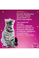 Whiskas Somonlu Poşetli Yaş Mama 85G