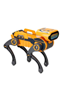 Robo Express Sesli ve Işıklı Uzaktan Kumandalı Robot