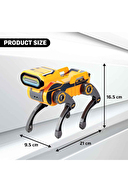 Robo Express Sesli ve Işıklı Uzaktan Kumandalı Robot