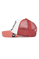 Goorin Bros Çocuk Şapka 201-2051 So Silly