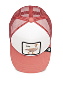 Goorin Bros Çocuk Şapka 201-2051 So Silly