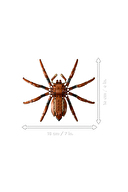 76434 LEGO® Harry Potter™ Aragog Yasak Ormanda