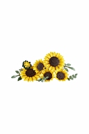 Lego Botanicals Ayçiçeği Buketi 11502