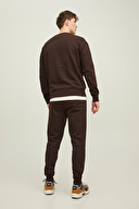 Jack&Jones Erkek Eşofman Altı 12195726