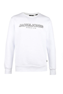 Jack&Jones Erkek Sweatshirt 12245593