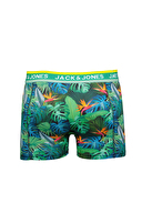 Jack Jones Erkek Boxer 12248849