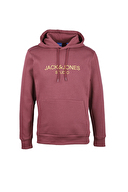 Jack&Jones Erkek Sweatshirt 12261177 Port Royale