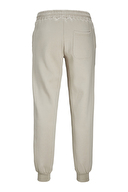 Jack&Jones Erkek Eşofman Altı 12268878 MOONBEAM