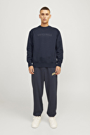 Jack&Jones Erkek Sweatshirt 12265756 SKY CAPTAIN