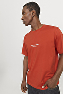 Jack&Jones Erkek Tişört 12240121 SUMMER FIG