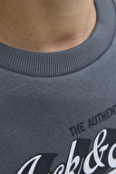 Jack&Jones Junior Erkek Çocuk Sweat 12279795