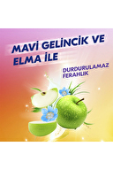 Rexona Roll-On Stay Fresh Mavi Gelincik & Elma Kadın 50 ml