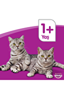 Whiskas Tavuk ve Sebzeli Kuru Kedi Maması 1.4 Kg