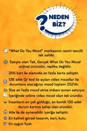 What Do You Mood Kutu Oyunu