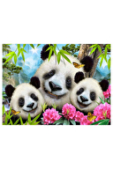 Panda Peluş ve 48 Parça Puzzle