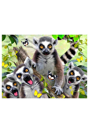 Lemur Peluş ve 48 Parça Puzzle