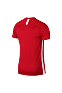 Nike Erkek Tişört AJ9996-657