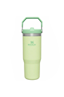 Stanley IceFlow Flip Straw Pipetli Termos Bardak 0,89L Citron