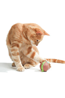 Cheerble 7x5x5.8 cm Kahverengi Şarjlı Akıllı İnteraktif Kedi Salyangoz Oyuncağı