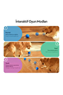 Cheerble Akıllı İnteraktif Köpek Oyuncağı, Mavi 7 x 7 x 7cm