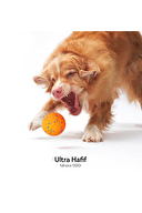 Cheerble Akıllı İnteraktif Köpek Oyuncağı, Turuncu 7 x 7 x 7cm