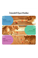 Cheerble Akıllı İnteraktif Köpek Oyuncağı, Turuncu 7 x 7 x 7cm