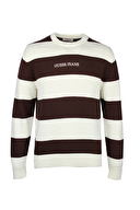 KAHVERENGİ KAHVERENGİ