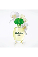 Gres Cabotine Edt 100 ml Kadın Parfüm