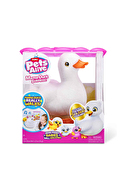 Pets Alive Sesli Anne ve Yavru Ördekler PEL03000