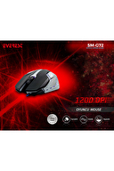 Everest SM-G72 Usb Siyah/Gümüş Işıklandırmalı Oyuncu Mouse