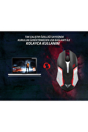 Everest SM-G72 Usb Siyah/Gümüş Işıklandırmalı Oyuncu Mouse