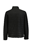 U.S Polo Assn. Erkek Mont P24105