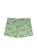 Slipstop Erkek Çocuk Slip Mayo Şort BERKO MINT.TRUNK