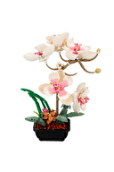 BLX Flower Set Orki̇de 665prc