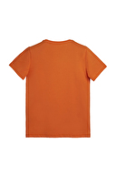 Bad Bear Erkek Çocuk Tişört 23.06.07.001