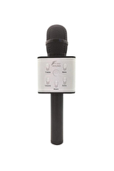 FreeSound Fs22 Karaoke Mıkrofon Speaker Siyah