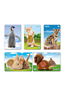 Circle Toys Dokun Hisset Yavru Hayvanlar