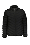 Diandor Erkek Mont 2329004