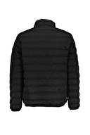 Diandor Erkek Mont 2329004