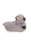 Twigy Kedi-3 Kadın Panduf CC0617