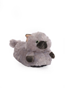 Twigy Kedi-3 Kadın Panduf CC0617