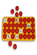 Newtoys İngilizce Twin Game