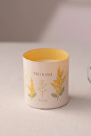 Rakle Mimosa Hediye Seti 2'li 260 cc