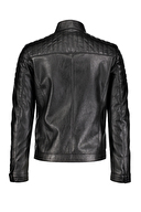 U.S. Polo Assn. Erkek Mont P20070