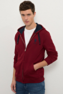 U.S. Polo Assn. Erkek Sweatshirt 1082420.VR014