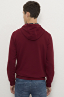U.S. Polo Assn. Erkek Sweatshirt 1082420.VR014