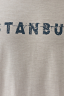 Mavi Erkek Tişört M066282-31935