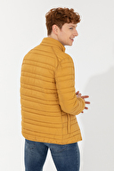 U.S. Polo Assn. Erkek Mont 1443228.VR043