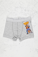 Rafadan Tayfa Erkek Çocuk Boxer 700