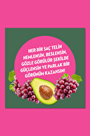 Elidor Satura Avakado Tüp Saç Kremi 170 ml